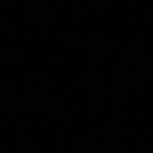 Meet your Posher, Marcella